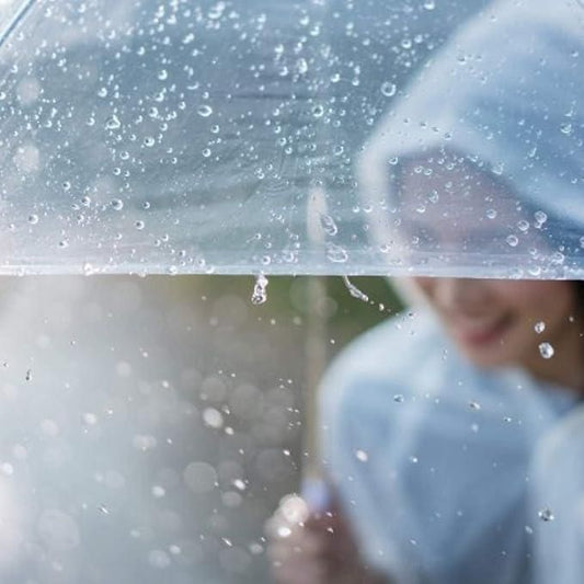Clear Dome See-Through Umbrella